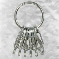 Breloczek Nite Ize KeyRing+ 6 x micro karabińczyk ze stali nierdzewnej (KRGS-11-R3) 1682665 94664026261