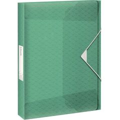 Esselte TECZKA Z GUMKĄ 40 MM COLOUR`ICE ZIELONA 4936519 4049793053196