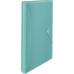 Esselte TECZKA Z PRZEGRÓDKAMI COLOUR`ICE NIEBIESKA 4936526 4049793053066