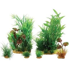 Zolux Dekoracja roślinna PlantKit Jalaya model 2 (352146) 4961159 3336023521466