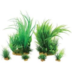 Zolux Dekoracja roślinna PlantKit Jalaya model 1 (352145) 4961160 3336023521459