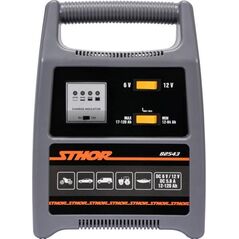 Sthor STHOR PROSTOWNIK 6/12V 8A 120Ah LED T82543 6419953 5906083037801