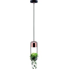 Lampa wisząca Paulmann Oprawa wisząca Neordic Fanja 1x20W GU10 Czarny/Miedź 230V Metall PL79749 6667065 4000870797495