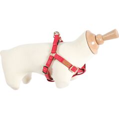 Zolux Szelki IMAO MAYFAIR 20 mm kol. czerwony 7244029 3336026667727