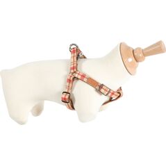 Zolux Szelki IMAO SCOTT 25 mm kol. czerwony 7244038 3336026667550