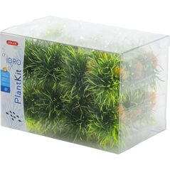 Zolux Zestaw małych roślin IDRO 24 szt. 7244245 3336023521725