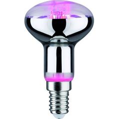 Paulmann Źródło LED Plant R50 E14 6,5W 230V prowzrostowa 8686812 4000870287347