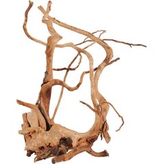Zolux Korzeń japoński Spider Wood 40-50 cm 9598245 3336023560526