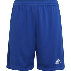 Adidas Spodenki adidas ENTRADA 22 Short Y HG6291 HG6291 niebieski 152 cm 9808713 4065417129504