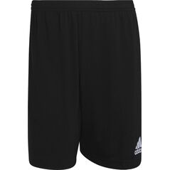 Adidas Spodenki adidas ENTRADA 22 Training Short HB0575 HB0575 czarny XL 9856885 4065418864855