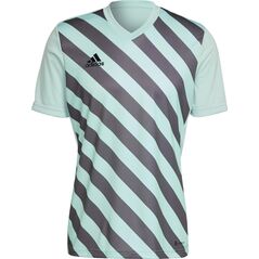 Adidas Koszulka adidas ENTRADA 22 GFX JSY HF0119 HF0119 niebieski XL 9992727 4065418818100