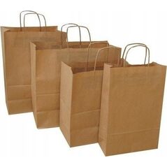 NC Koperty TORBY PAPIEROWE 240 X 100 X 360 MM ECOBAG BRĄZOWE 1 SZT. 12888612 5901508800039