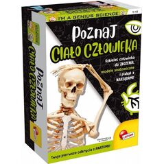 Lisciani Zestaw naukowy Im a Genius Poznaj ciało człowieka 12994504 8008324101474