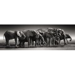 Clementoni Puzzle 1000 elementów Panorama High Quality Herd of Giants 13244882 8005125398362