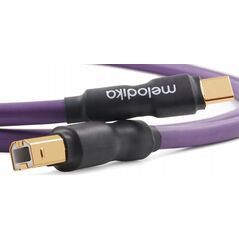 Kabel USB Melodika USB-C - USB-B 6 m Fioletowy (MELO-MDUCB60) 13295444 5907609009968
