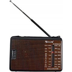 Radio Tiross Radio przenośne TS-462 Tiross 13335472 5901698509316