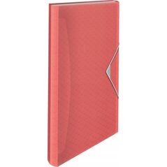 Esselte Teczka 6 przegr�d Esselte C'B koral 13479333 4049793075655