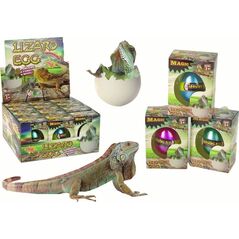 LeanToys Wykluwające się Magiczne Jajko Jaszczurka Rosnące 6 cm 13674760 5905515353700