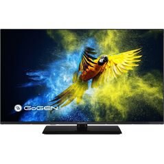 Telewizor GoGEN Telewizor Gogen 32” - TVF32M340STWEB 13929068 8590393304813
