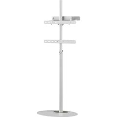 Techly Stojak podłogowy TV 32"-65" do 35kg regulowany biały