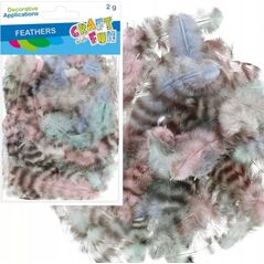 Craft with Fun OZDOBA DEK PIORKA 2G CENTKI PASTEL CF PBH 12/288 14222989 5905523637632