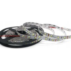 Taśma LED Prescot Prescot PR024-100-10-RGB+NW taśma LED biała