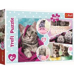 Trefl Puzzle 160 Urocze kotki