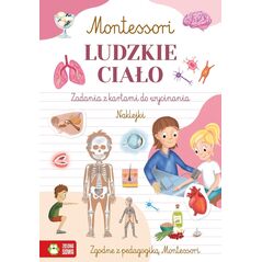 Zielona Sowa Montessori Ludzkie ciało 97057