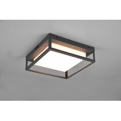 DELIGHT Trio Witham 677860142 plafon lampa sufitowa zewnętrzna IP54 1x14W LED 2300-4000K antracytowy