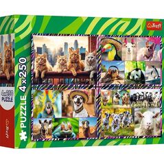 Trefl PUZZLE 4X250 TREFL ZABAWNE ZWIERZAKI ZOO PUD6