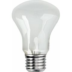 Elinchrom Żarówka E27/196V/100W (23002)