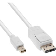 Kabel InLine DisplayPort Mini - DisplayPort 2m biały (17132)