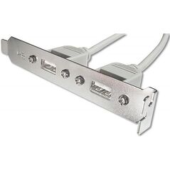 Diverse Śledź 2xUSB (AK-300301-002-E)