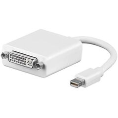 Adapter AV MicroConnect DisplayPort Mini - DVI-I biały (MDPDVI)