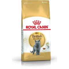 Royal Canin British Shorthair karma sucha dla kotów dorosłych rasy brytyjski krótkowłosy 2kg