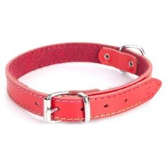 Dingo obroża skórzana podszyta filcem szer. 1,0 cm dł. 36 cm czerwona