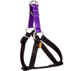 Dingo Fred Energy rozmiar 40 szer. 1 cm Fioletowe (94629)