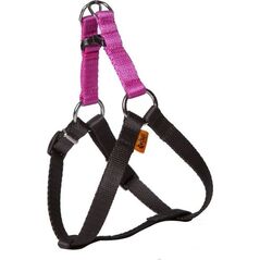 Dingo Fred Energy rozmiar 60 szer. 1.6 cm Różowe (94613)