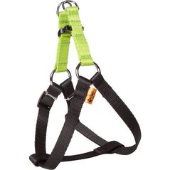 Dingo Fred Energy rozmiar 60 szer. 1.6 cm Zielone (94614)