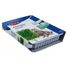Trixie TRAWA DLA KOTA W POJEMNIKU 100g