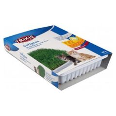 Trixie TRAWA DLA KOTA W POJEMNIKU 100g