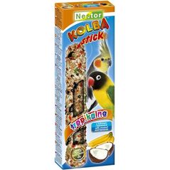 Nestor KOLBA PAPUGA ŚREDNIA OWOCE TROPIKALNE