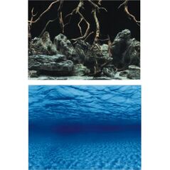 Aqua Nova TŁO L 100X50 ROOTS/WATER
