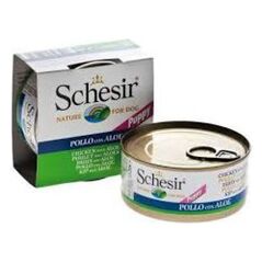 Schesir Schesir Junior Kurczk i aloes w galaretce - 150g