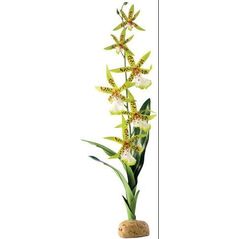 Hagen Exoterra Roślina Orchid 42cm