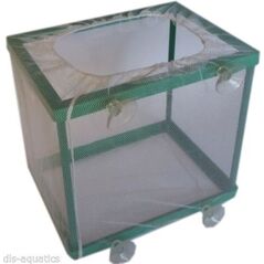 Aqua Nova Kotnik Siatkowy Mały