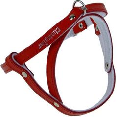 Champion Szelki 50 czerwone SD(R)