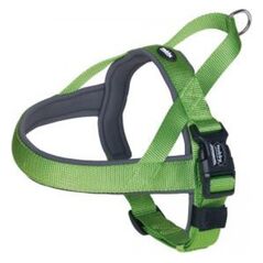 Nobby SZELKI CLASSIC PRENO L ZIELONE 60-76cm 25/35