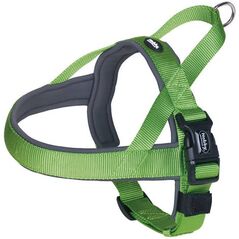 Nobby Szelki dla psa Classic preno zielone r. S-M (38-50cm)