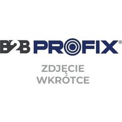 Tryton ADAPTER DO SZCZOTEK DO MYJKI TM251901 (ADAPTER DO SZCZOTEK [DO MYJKI TM251901]) - EAT00008